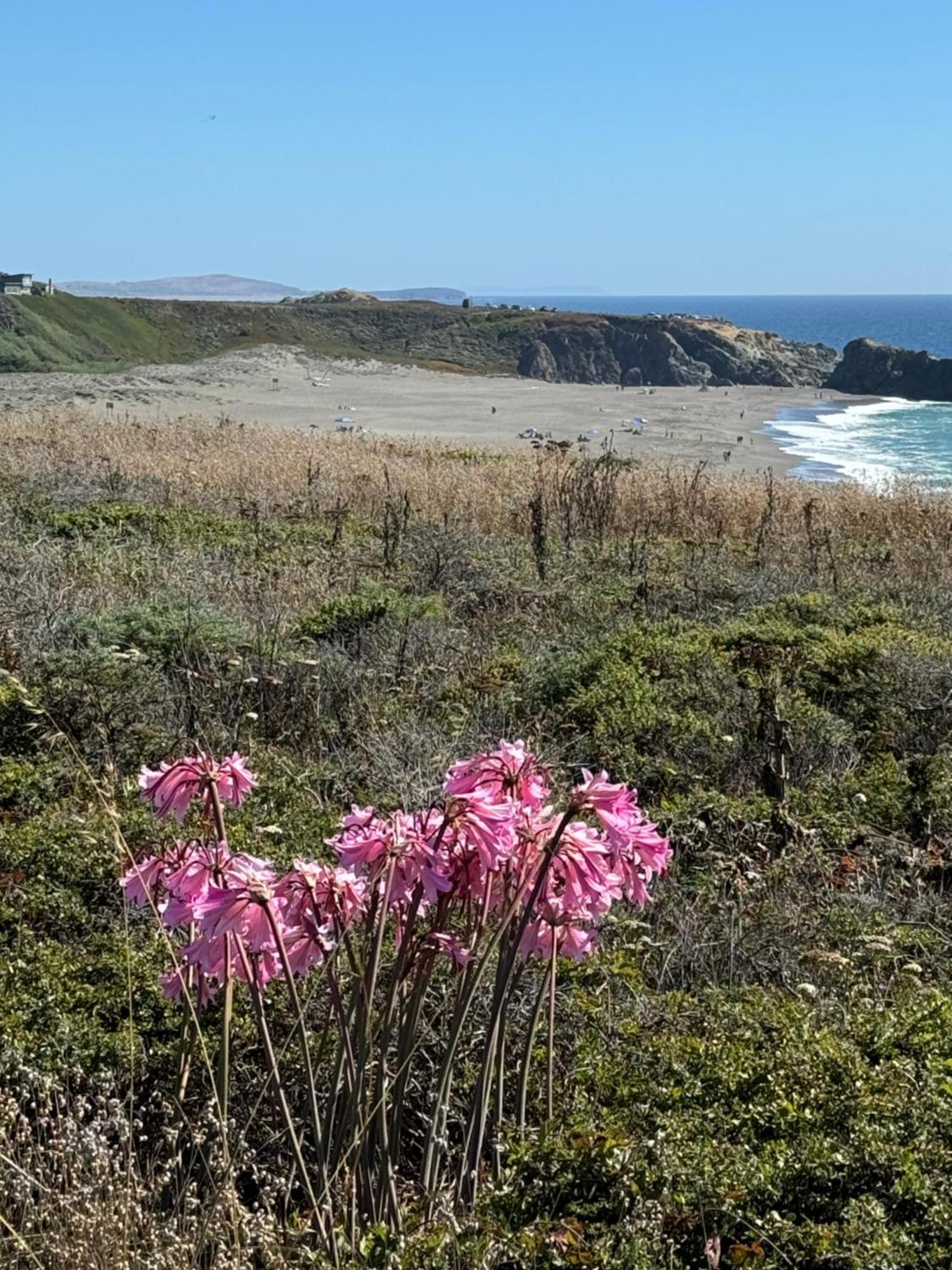 Ocean And Sunset Views - Cliff Side Cottage Bodega Bay Exterior photo